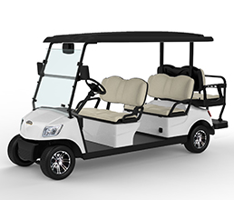 4 Seater Electric Golf Cart DG-M4+2