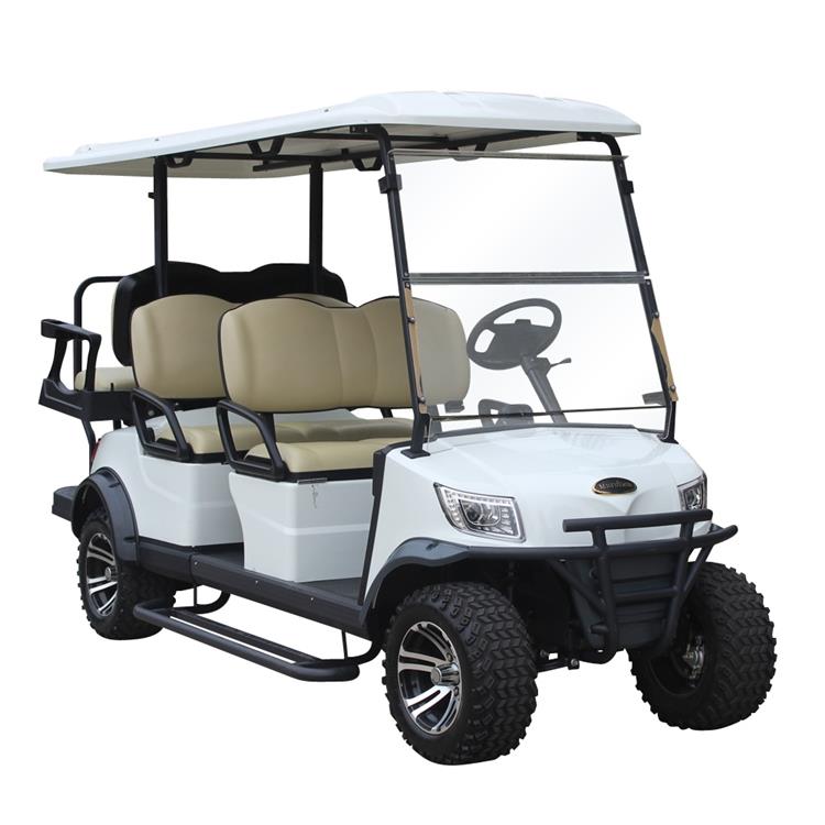 Electric Lifted Golf Cart 