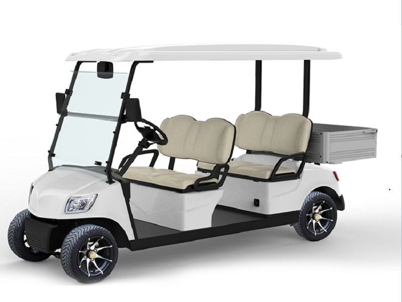 Marshell Electric Golf Cart DG-M4S