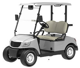 2 Seater Electric Golf Cart DG-M2
