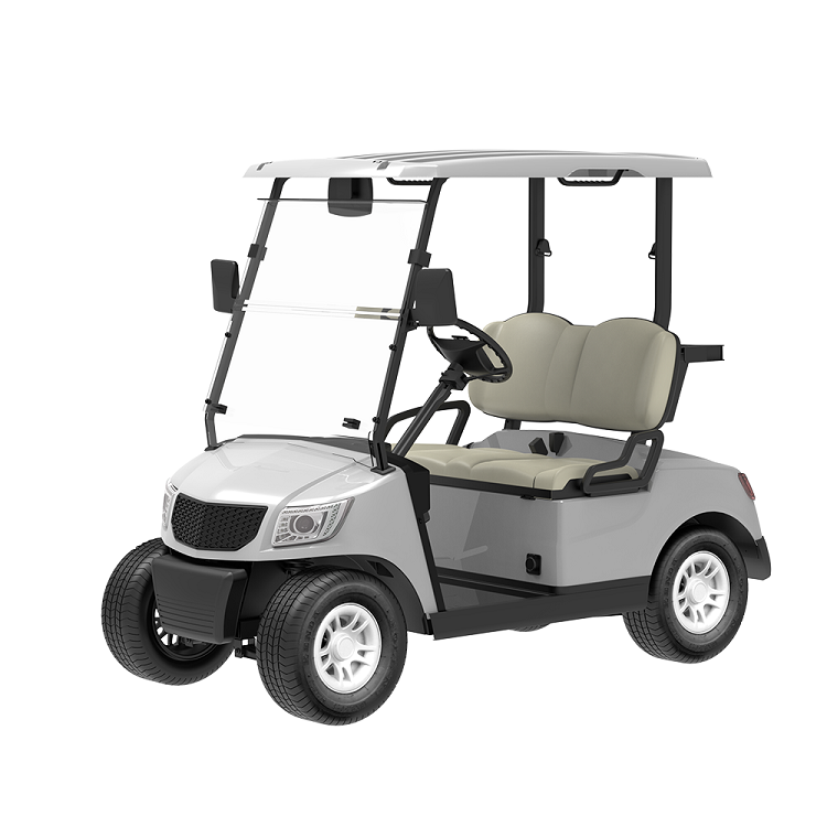 2 seater golf cart