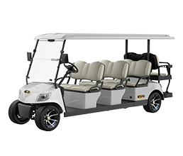 8 Seater Electric Golf Cart DG-M6+2