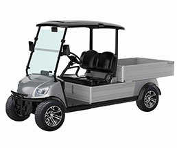 Electric Customzied Utility Cart 