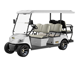 Marshell 6 Seater Electric Golf Cart with Lithium Battery DG-M4+2