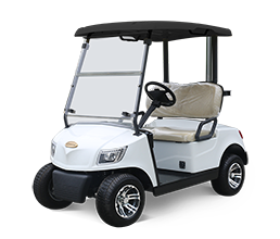 Marshell 2 Seater Electric Golf Cart with Lithium Battery DG-M2