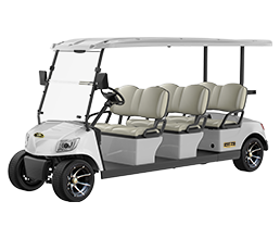 Marshell 6 Seater Electric Golf Cart with Lithium Battery DG-M6
