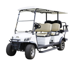 Marshell 6 Seater Electric Lifted Golf Cart with Lithium Battery DH-M4+2