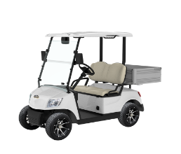 Marshell Electric Lithium Battery Utility Golf Cart DG-M2S