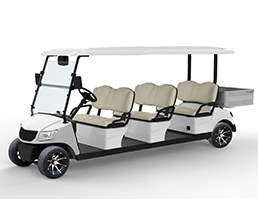 Marshell Electric Lithium Battery Utility Golf Cart DG-M6S