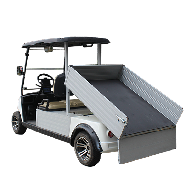 Golf Cart with cargo
