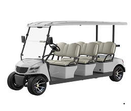 2 Seater Electric Golf Cart DG-M6