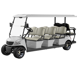 8 Seater Electric Golf Cart DG-M6+2