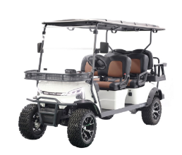 Marshell 6 Seater Electric Lifted Golf Cart with Lithium Battery DH-J4+2