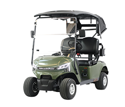 2 Seater Electric Golf Cart DG-J2