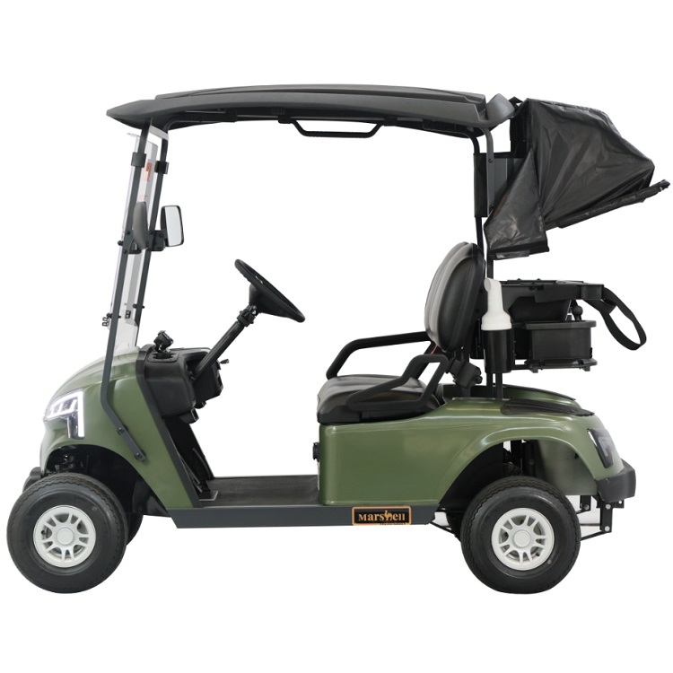 Electric Golf Cart