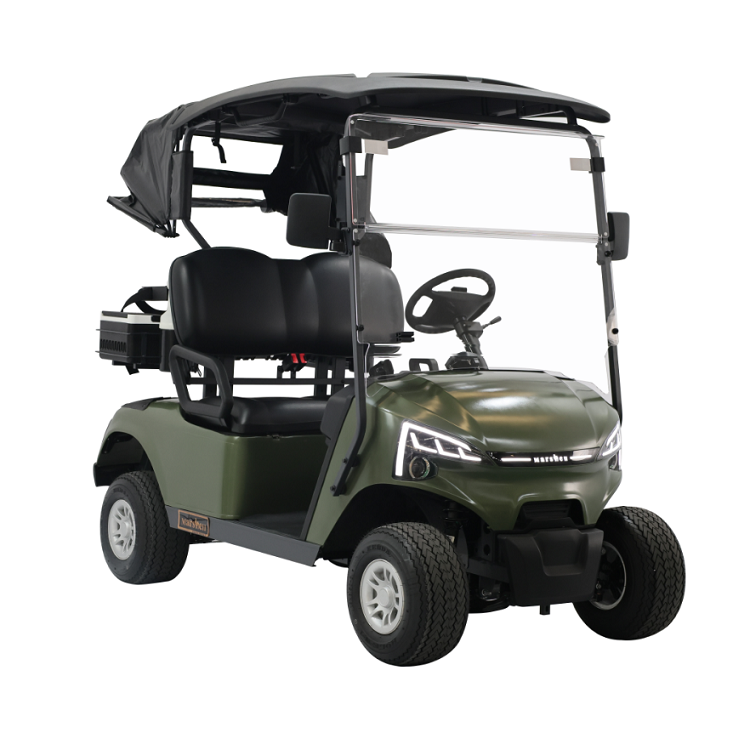 Electric Golf Cart