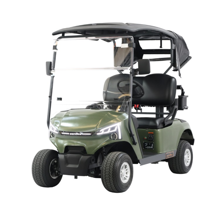 Electric Golf Cart