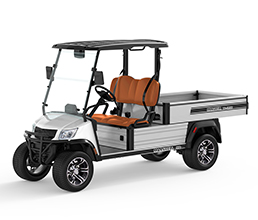 Marshell Electric 2 Seater Cart(DU-CA500L-2)