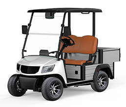 Marshell Electric 2 Seater Cart(DU-CA500S-2)