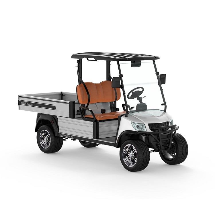 Electric Utility Vehicle