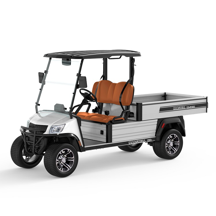 Electric Utility Vehicle