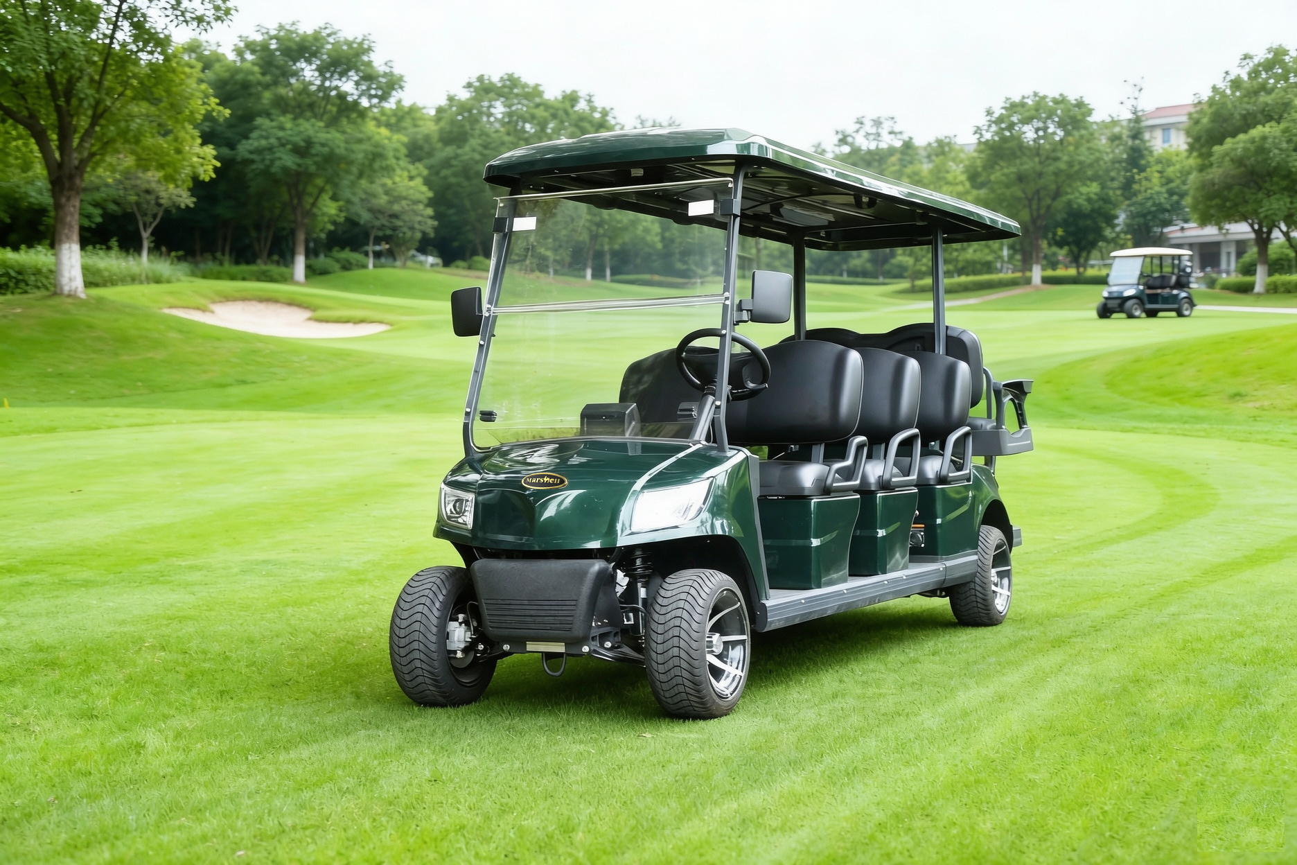 Electric Golf Buggy Golf cart